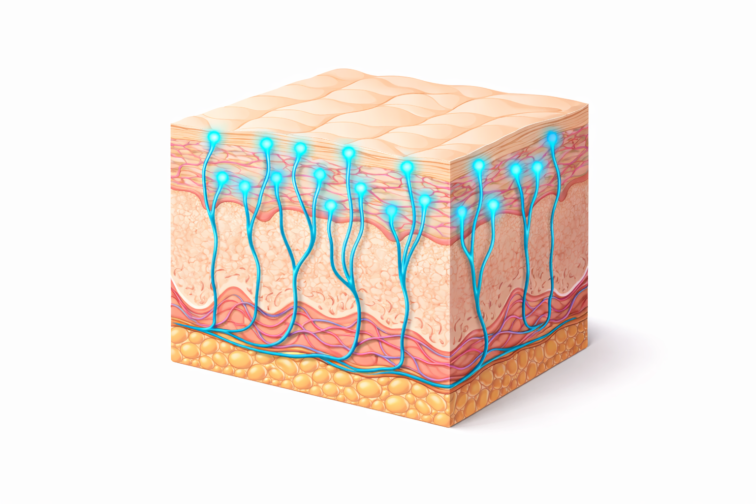 Older man in his late 50s walking alone on a flat paved trail at sunrise wearing athletic shoes with warm golden light conveying hope and consistency